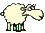 :sheep2: